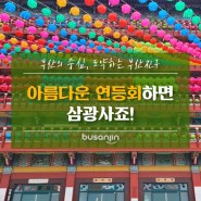 [지니어스] 아름다운 연등회가 기다려지는 부산3대 사찰 삼광사