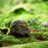 [일본 여행] 교토 오하라 산젠인의 이끼동자 / a moss boy at the Ohara Sanzen-in temple in Kyoto
