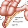 <수술실 GS> Laparoscopic Appendectomy