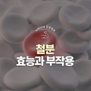 철분 효능 효과 및 부작용 알아보기