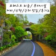 포레스트 리솜/ 부대시설/커피/산책/ 근처 맛집/후기2
