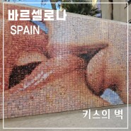 스페인 바르셀로나 고딕 지구 피카소(picasso) 처녀 작과 키스의 벽