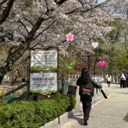 4월의 어느날 | 북한산 둘레길 코스 추천, 벚꽃 구경, 술이 익는 마을, 역전할머니맥주