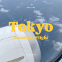 일본 도쿄 여행 팁, 도쿄 항공권 가격 및 이심 준비♥