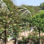 4월의 장미공원, 곡성 섬진강기차마을에서