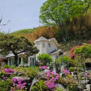 충북 영동 전원주택 매매 - 우수한 자연환경 숲속 예쁜 정원 집