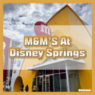 디즈니스프링스 엠엔엠즈스토어 기념품 M&M'S At Disney Springs