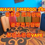 [WAKA]DM 8000i 일회용 전자담배 광주 첨단 전자담배 스칸센VAPE