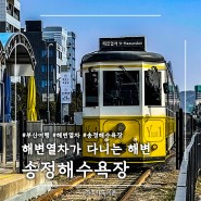 부산 가볼 만한 곳, :: 송정해수욕장 (Feat. 해운대 블루라인)