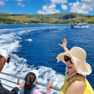 괌 돌핀크루즈 돌고래보며 스노쿨링 즐기는 해양 액티비티로 해볼만한것 추천!
