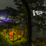 울산 솔캠과 시크릿 편백숲백패킹