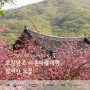 2024 생생국가유산사업 '오감만족 사촌마을 여행' 참여자 모집