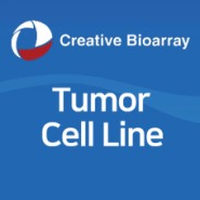 625호-Creative Bioarray Tumor Cell Line