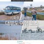 안산 대부도 가볼만한곳 대부도 여행 코스 봄 시화호 철새 탐조 촬영