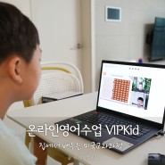 온라인영어수업 VIPKid 집에서 배우는 미국교과과정
