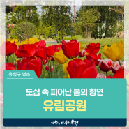 대전 유성구 명소, 도심 속 피어난 봄의 향연 '유림공원'
