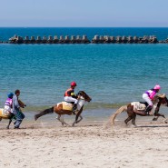 가고시마 이벤트::해변을 달리는 말들을 볼 수 있는 이색 경마대회! '쿠시키노하마 경마대회'