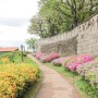 지금 가볼만한곳 서울 낙산공원 한양성곽길 따라 4, 5월 꽃구경하며 걷기