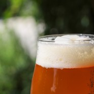 맥주 효모의 놀라운 건강 이점: 소소한 즐거움이 건강까지 책임진다!