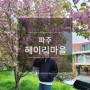 파주 헤이리 예술마을 겹벚꽃명소 산책 코스 당일치기 여행 서울근교 꽃구경 가볼만한곳