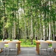 [크레용벽지] 푸른 숲 자작나무 풍경 힐링 인테리어 뮤럴 포인트 디자인 벽지 & 롤스크린