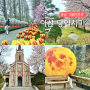 천안 아산 당일치기여행 튤립축제 꽃 나들이 가볼만한곳 가족 피크닉