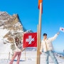 스위스 융프라우 여행 가는법 (포토존 지름길, 고산병약 인천공항, 융프라우 VIP패스, 신라면 쿠폰)