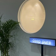 분당/정자동 새로 오픈한 피부관리 에스테틱 " 딥퓨어 (deep pure)"