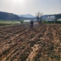 2024년 현주네팜 동력분무기로 유기질 비료 뿌리기