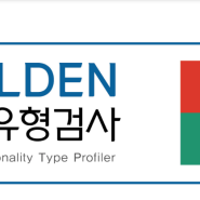 인싸이트 공식스토어 [GOLDEN 성격유형검사] 후기 리뷰
