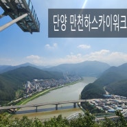 충북 단양 만천하스카이워크(2023.08.26)