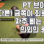 도모 스트렝스 체력 증진 및 발목 재활 수업 모습(from 인천 도화동 PT 전문 체육관)