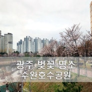 전남 광주 벚꽃 명소 수완호수공원 당일치기 여행