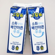 [남양유업] 소화 잘되는 우유 배안아픈 락토프리 고칼슘 우유