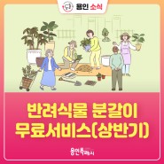 [용인소식] 2024년 반려식물 분갈이 무료 서비스(상반기)