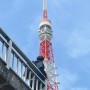 도쿄타워 사진 스팟 추천 토후야 우카이 계단 사람 많을 때 꿀팁