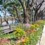 서울대공원과 한국오츠카제약이 함께하는 우르르가든 정원 조성