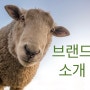 빛소금공작소 래이앤솔트 브랜드소개