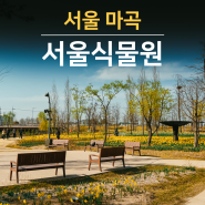 마곡 서울식물원 주차장 운영시간 휴무일 어린이날 무료 놀거리
