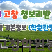 2024 고창 청보리밭 축제 일정 및 기본정보 (학원관광농원)