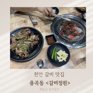 천안 갈비 맛집 / 용곡동 갈비정원 / 천안 아기랑 식당