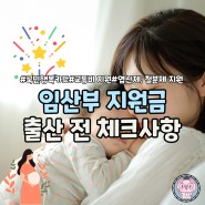 2024년 출산전 임산부 지원금 체크사항 혜택 총정리