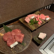 오사카 난바 야끼니꾸 맛집/킨노토리카라 치킨/야끼토리 맛집
