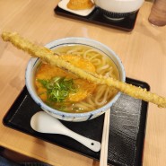 후쿠오카아저씨 추천맛집, 창 같은 우엉튀김을 올려주는 '하카타 야리우동'!
