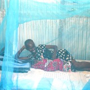 [4월 25일 말라리아의 날] 월드비전이 알려주는 말라리아의 모든 것ㅣ말라리아 증상부터 말라리아 예방법까지 모두 알려드려요!