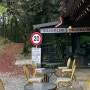 [광주 남구 카페] 여기 푸바오밥 많아요, 도심 속 대나무숲을 반려견과 함께 구경하기 좋은 곳