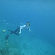 괌 액티비티 스노쿨링 프리다이빙 스누바 꿀잼