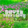 창녕 우포늪 자운영 꽃말 사초군락지 위치 및 개화 상황(4월 25일)