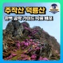 덕룡산 주작산 등산코스 후기 및 완벽공략 비밀자료 배포