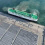 안팔리는 중국산 전기차 재고 쌓인 유럽 항구